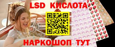 стаф Краснодар