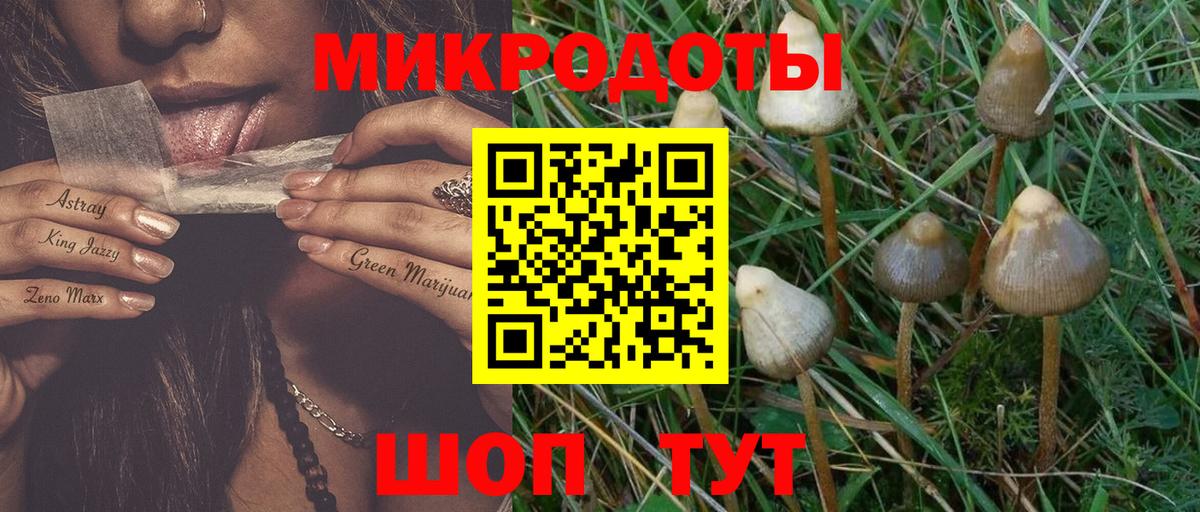 Галлюциногенные грибы Cubensis Шарыпово